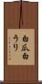 白瓜 Scroll