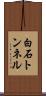 白石トンネル Scroll