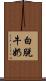 白脫牛奶 Scroll