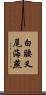 白腰叉尾海燕 Scroll
