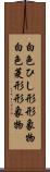 白色ひし形形象物 Scroll