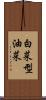 白菜型油菜 Scroll