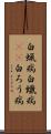 白蝋病 Scroll