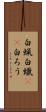 白蝋 Scroll