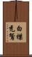 白襟禿鷲 Scroll