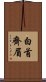 白首齊眉 Scroll