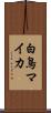 白鳥マイカ Scroll