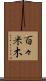 百々米木 Scroll