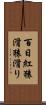 百日紅 Scroll