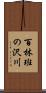 百林班の沢川 Scroll