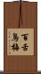百舌鳥梅 Scroll