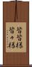 皆皆様 Scroll
