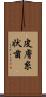 皮膚糸状菌 Scroll