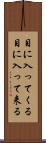 目に入ってくる Scroll