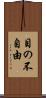 目の不自由 Scroll