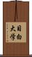 目白大学 Scroll