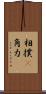相撲(P) Scroll