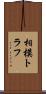 相模トラフ Scroll