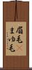 眉毛(P) Scroll
