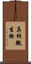 真核微生物 Scroll