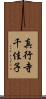 真行寺千佳子 Scroll