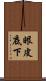 眼皮底下 Scroll