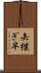 矢継ぎ早 Scroll
