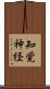 知覚神経 Scroll