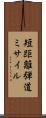 短距離弾道ミサイル Scroll