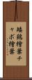 矮鶏檜葉 Scroll