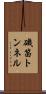 磯笛トンネル Scroll