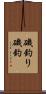 磯釣り Scroll