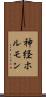 神経ホルモン Scroll