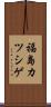 福島カツシゲ Scroll