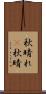 秋晴れ(P) Scroll