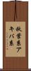 秋葉系 Scroll