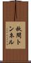 秋間トンネル Scroll