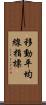 移動平均線指標 Scroll