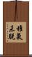 稚氣未脫 Scroll