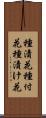 種漬花 Scroll