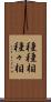 種種相 Scroll