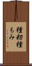 種籾 Scroll