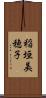 稲垣美穂子 Scroll