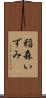 稲森いずみ Scroll