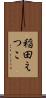 稲田えつこ Scroll