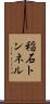 稲石トンネル Scroll