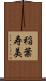 稲葉寿美 Scroll
