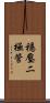 穩壓二極管 Scroll