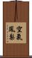 空氣鳳梨 Scroll