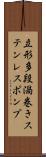 立形多段渦巻きステンレスポンプ Scroll